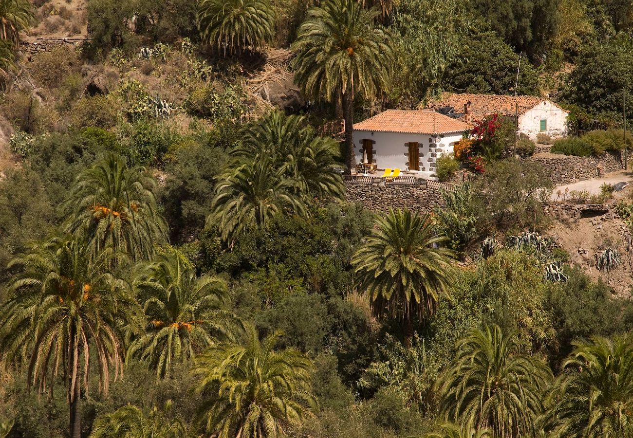 Casa rural en San Bartolomé de Tirajana - GC0260 Casa rural con piscina privada en San Bartolome