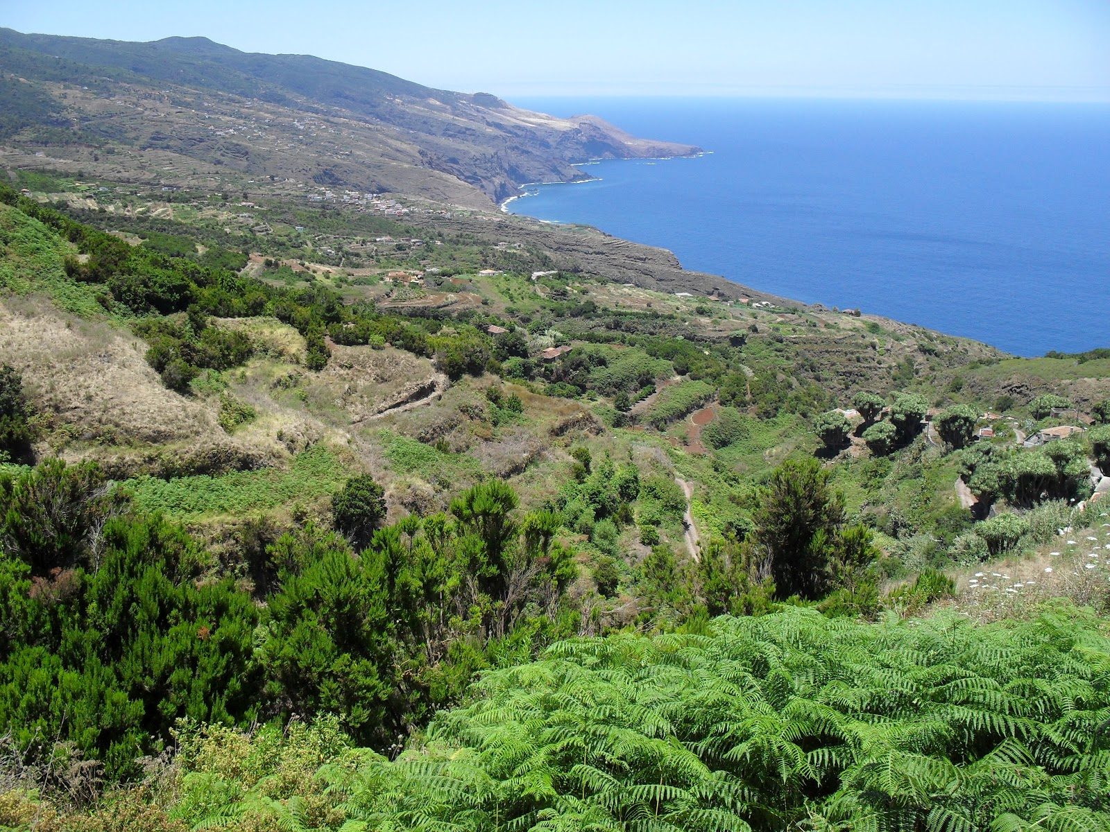 Punta Gorda, La Palma