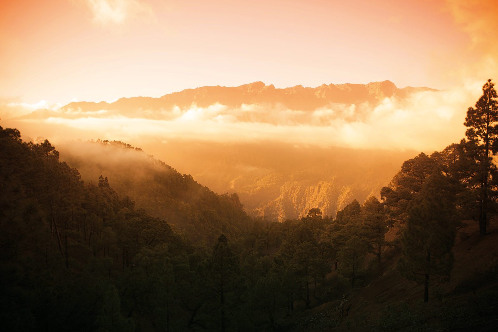 Caldera de Taburiente
