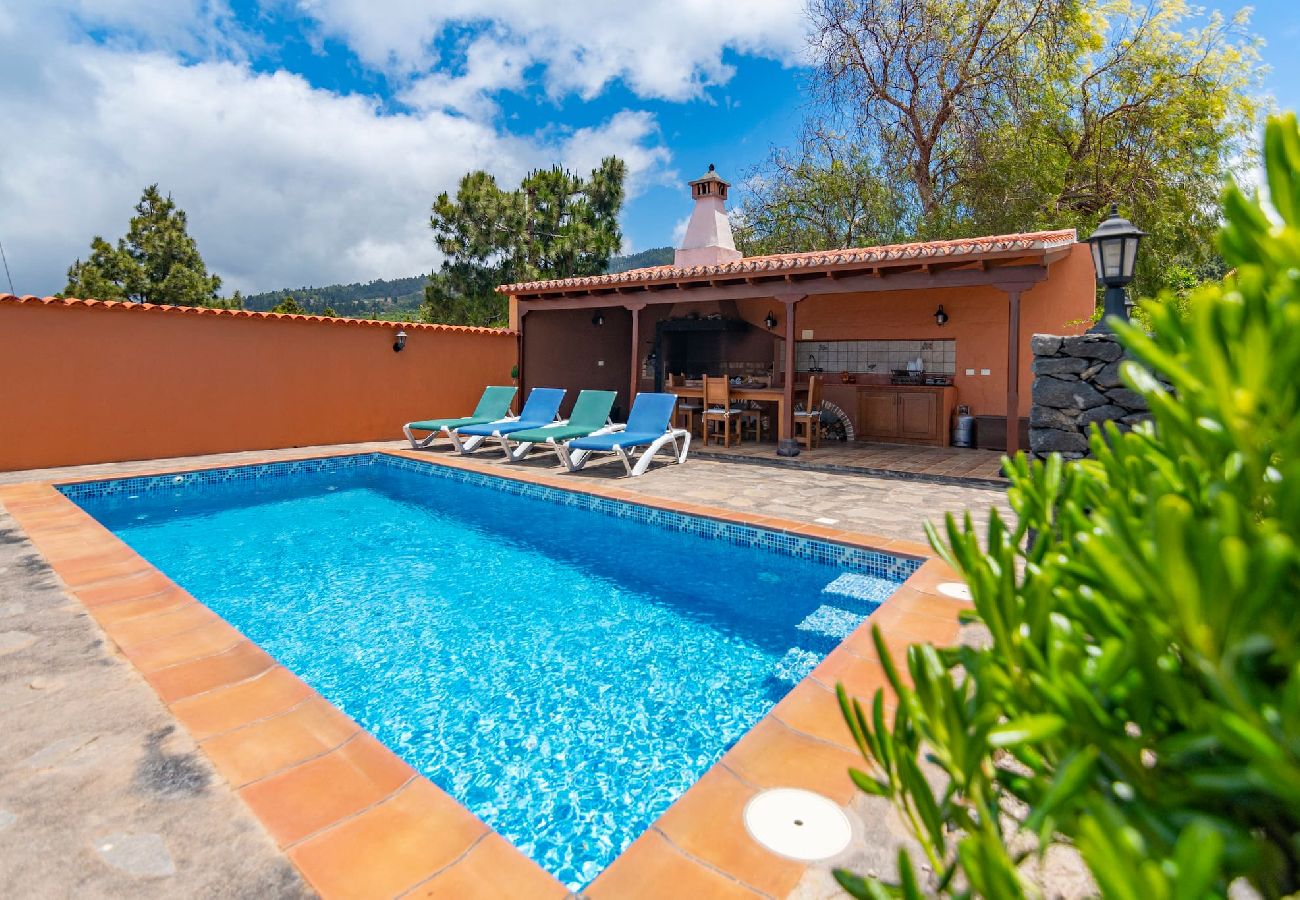 Landhaus in Puntagorda - LP1181 Ferienhaus mit privatem Pool in Puntagorda