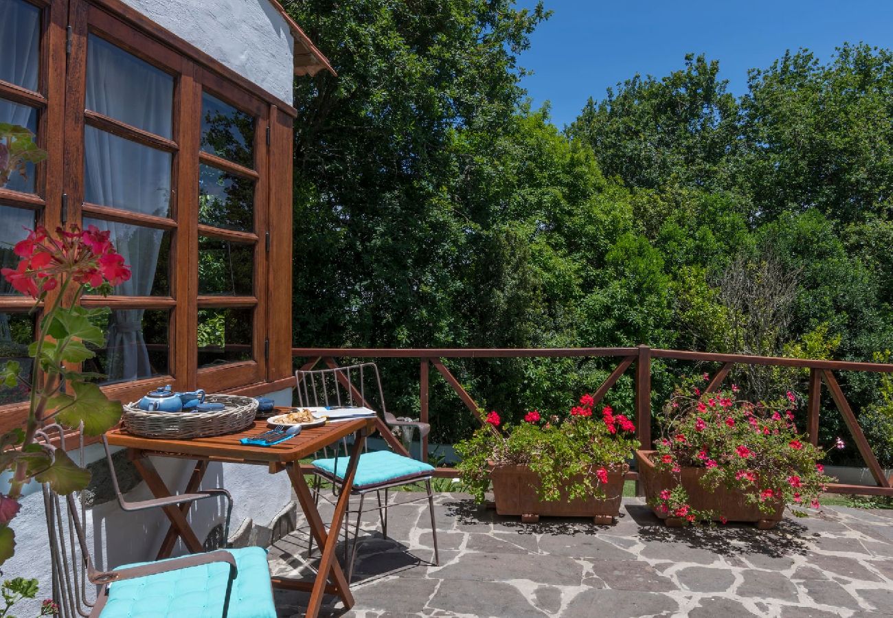 Landhaus in Moya - GC0000 Anlage mit 3 Häusern in Fontanales mit privatem Pool