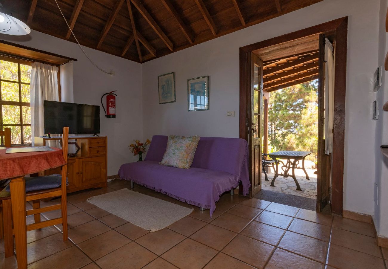 Cottage in Puntagorda - LP1183 Vakantiehuis met gedeeld zwembad in Puntagorda
