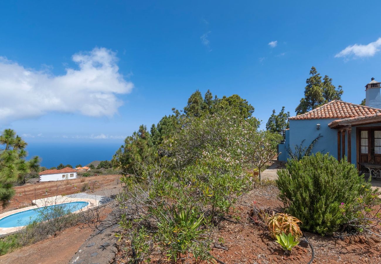 Cottage in Puntagorda - LP1182 Vakantiehuis met gedeeld zwembad in Puntagorda
