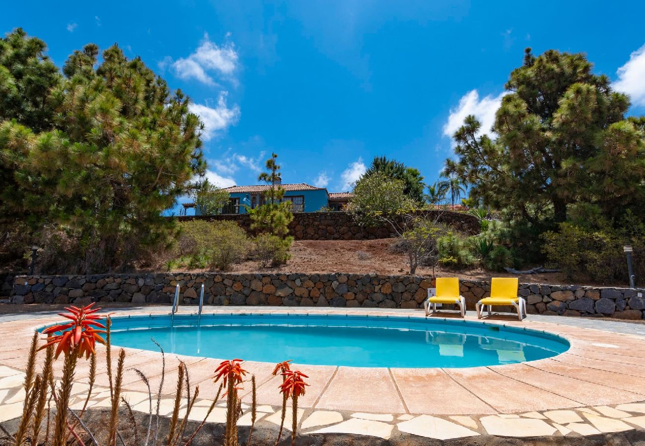 Cottage in Puntagorda - LP1182 Vakantiehuis met gedeeld zwembad in Puntagorda