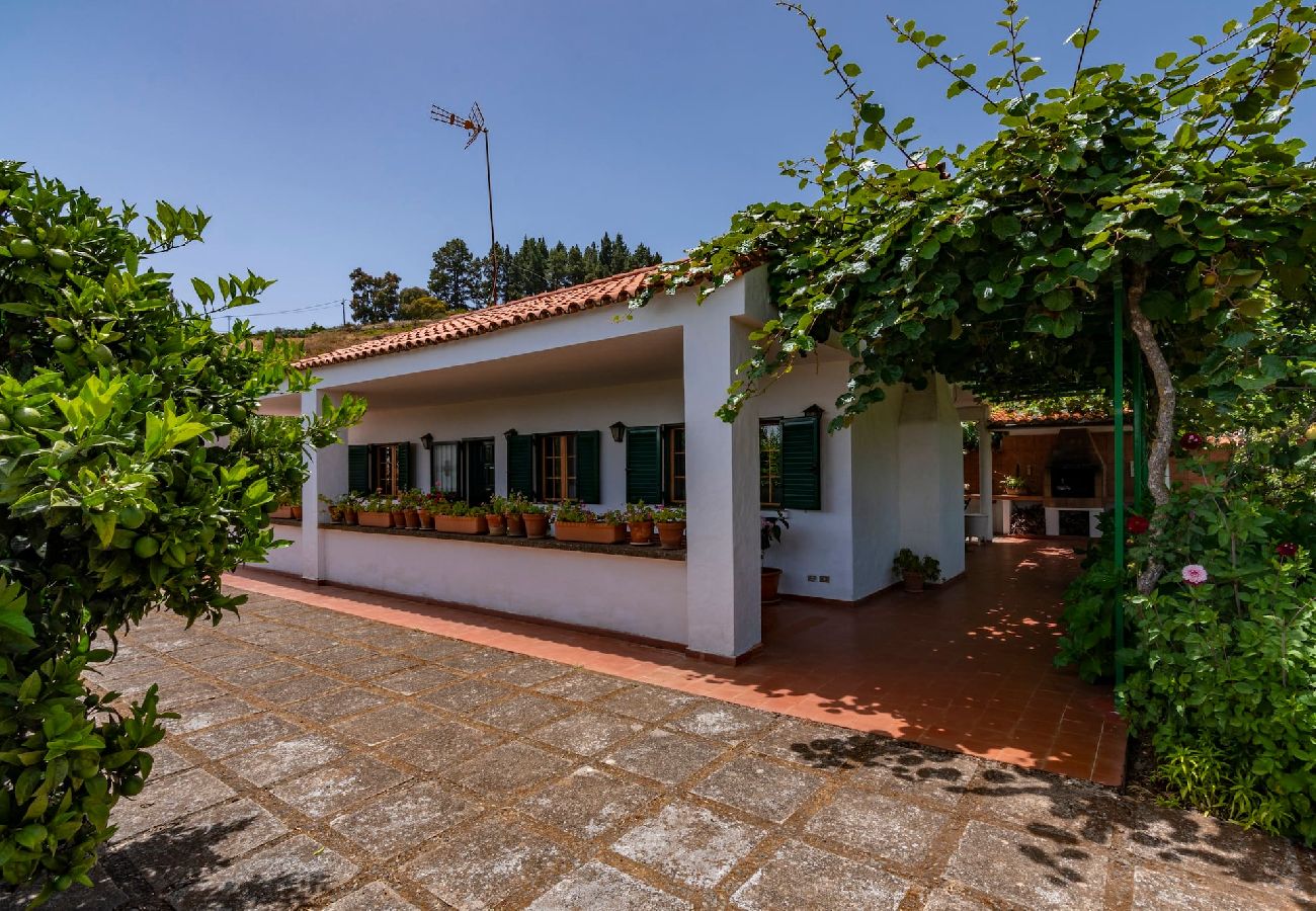House in Vega de San Mateo - GC0152 Holiday cottage in La Lechuza
