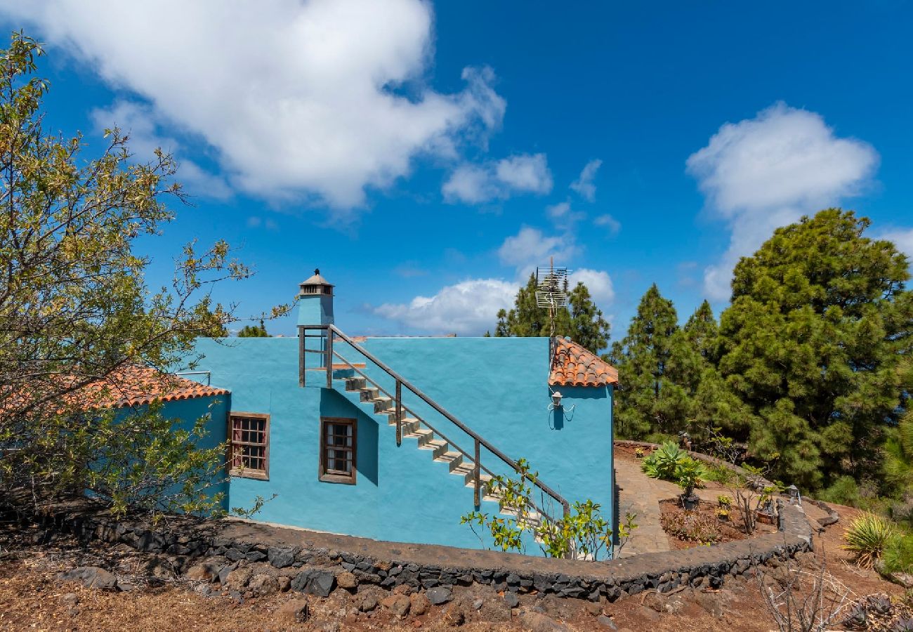 Gîte Rural à Puntagorda - LP1183 Maison de vacances avec piscine à Puntagorda