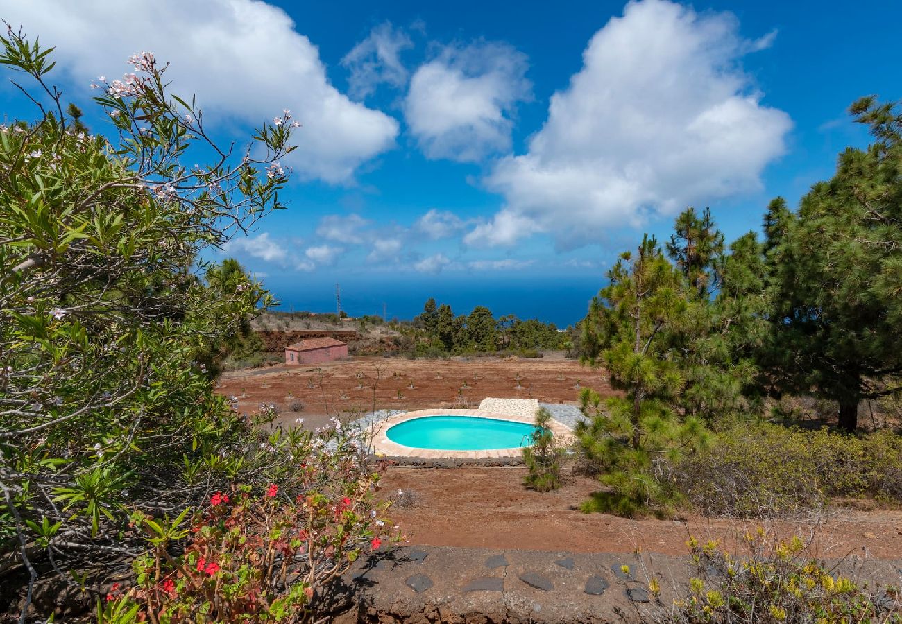 Gîte Rural à Puntagorda - LP1183 Maison de vacances avec piscine à Puntagorda