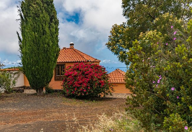 Gîte Rural à Puntagorda - LP1181 Maison de vacances avec piscine à Puntagorda Gîte Rural à Puntagorda - LP1181 Maison de vacances avec piscine à Puntagorda
