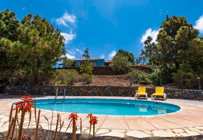Gîte Rural à Puntagorda - LP1182 Maison de vacances avec piscine à Puntagorda Gîte Rural à Puntagorda - LP1182 Maison de vacances avec piscine à Puntagorda