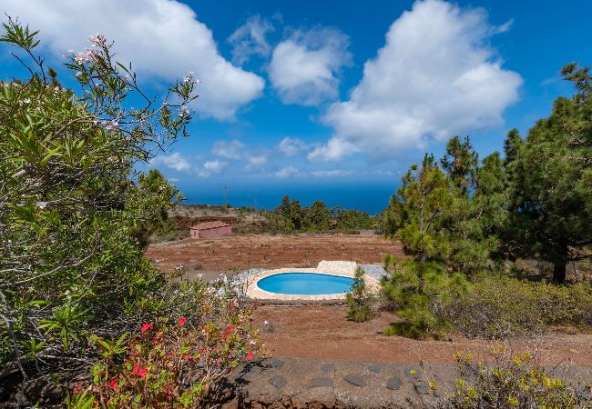 Gîte Rural à Puntagorda - LP1182 Maison de vacances avec piscine à Puntagorda Gîte Rural à Puntagorda - LP1182 Maison de vacances avec piscine à Puntagorda
