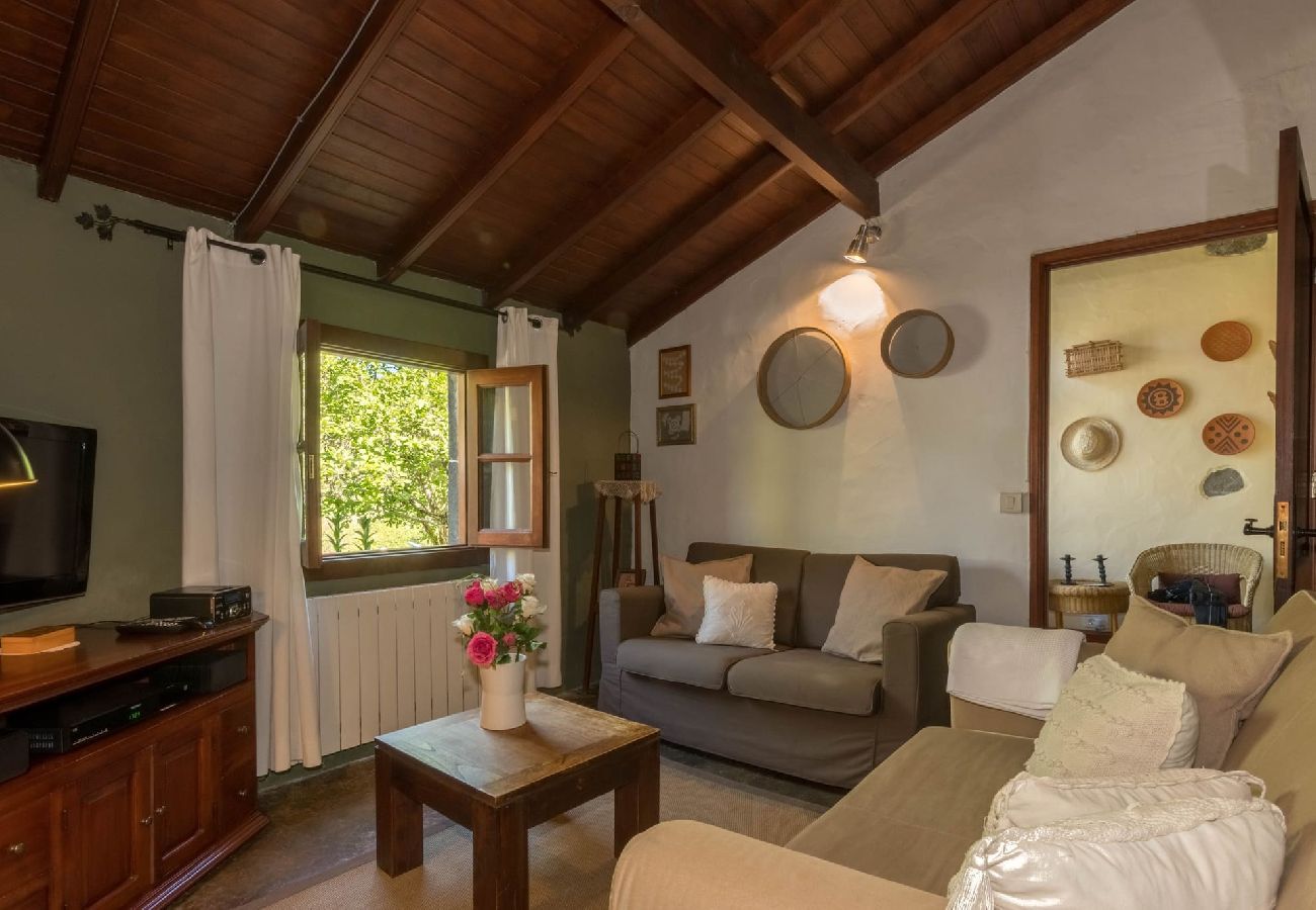 Cottage in Moya - GC0001 Vakantiehuis met gedeeld zwembad in Fontanales