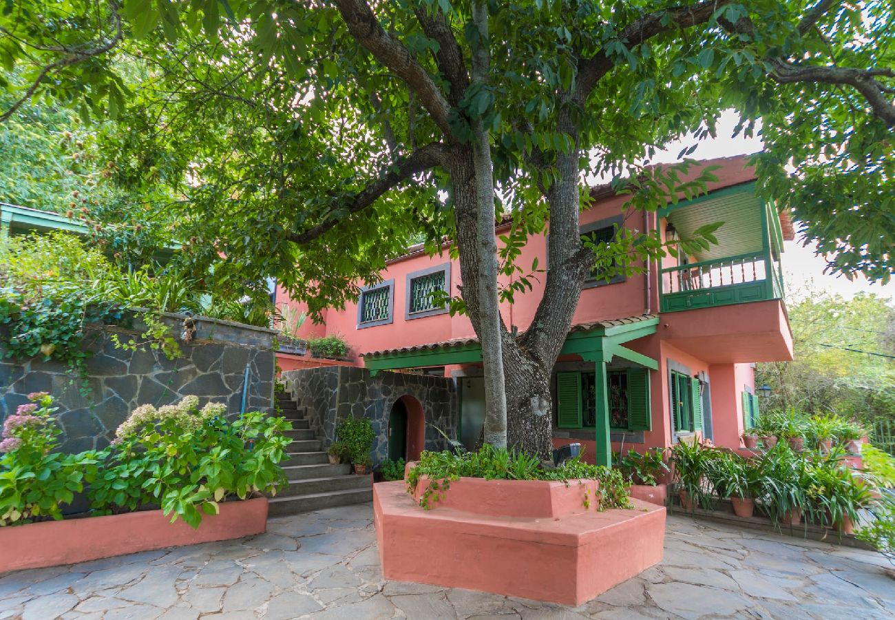 Cottage in Vega de San Mateo - GC0149 Groot vakantiehuis in San Mateo