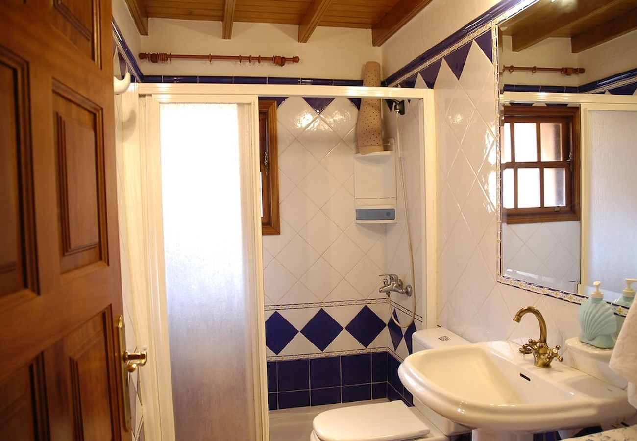 Cottage in Breña Alta - LP1022 Vakantiehuis in Breña Alta