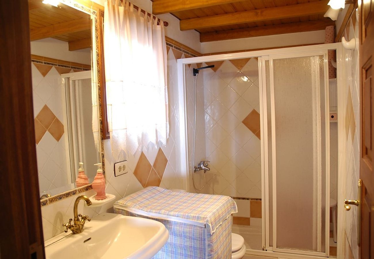 Cottage in Breña Alta - LP1021 Vakantiehuis in Breña Alta