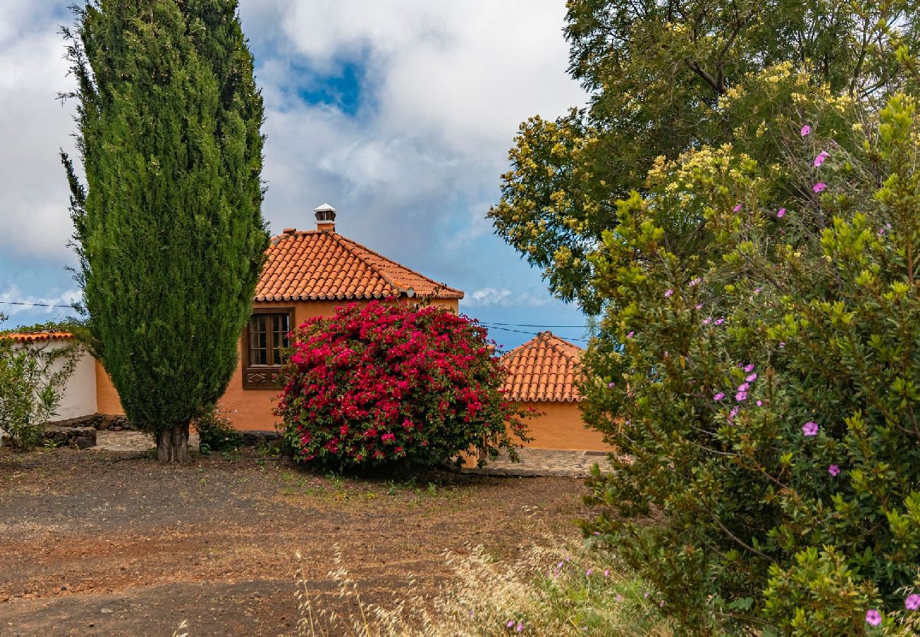 Cottage in Puntagorda - LP1181 Vakantiehuis met privé zwembad in Puntagorda