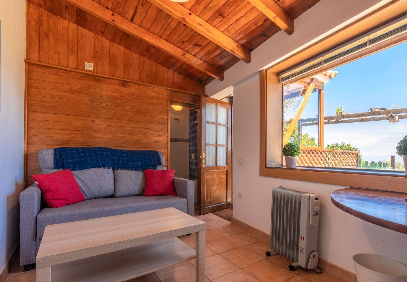Huis in Firgas - GC0030 Vakantiehuis met zwembad in Firgas