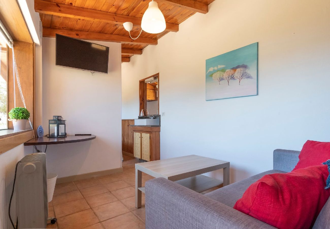 Huis in Firgas - GC0030 Vakantiehuis met zwembad in Firgas