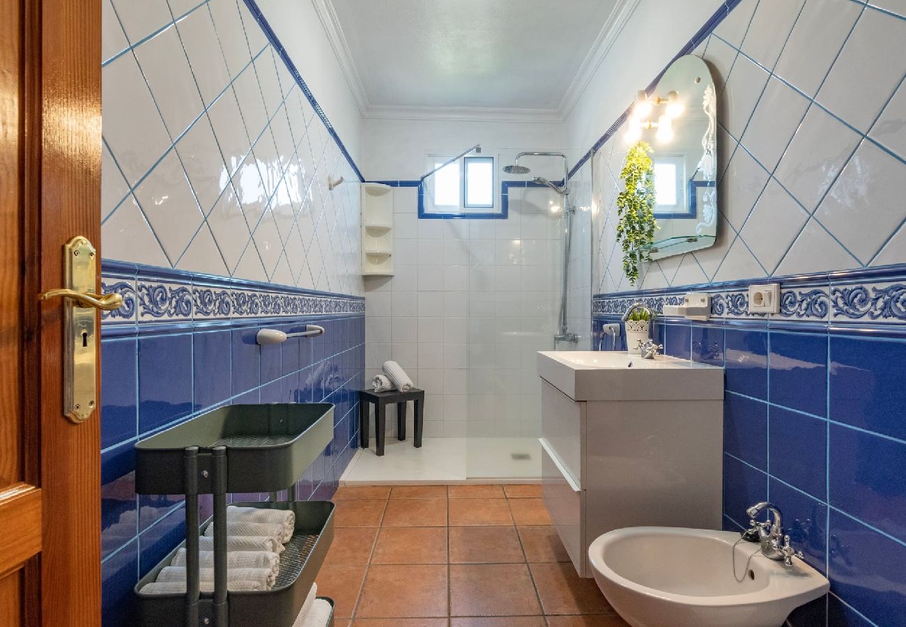 Huis in Los Llanos de Aridane - LP1126 Vakantiehuis met privé zwembad in Los Llanos