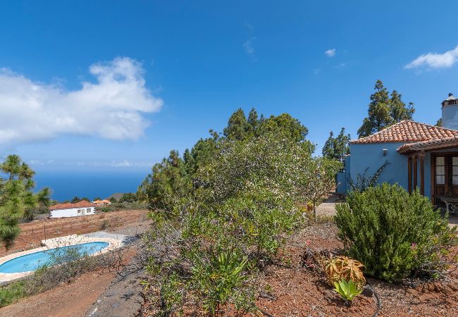 Cottage in Puntagorda - LP1182 Vakantiehuis met gedeeld zwembad in Puntagorda