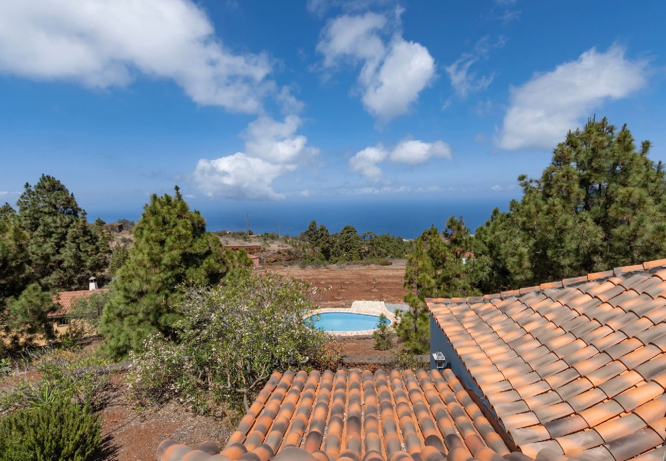 Cottage in Puntagorda - LP1182 Vakantiehuis met gedeeld zwembad in Puntagorda