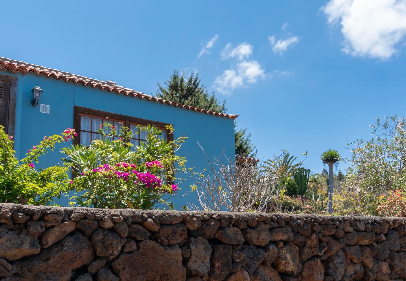 Cottage in Puntagorda - LP1182 Vakantiehuis met gedeeld zwembad in Puntagorda