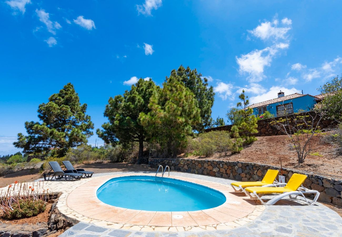 Cottage in Puntagorda - LP1182 Vakantiehuis met gedeeld zwembad in Puntagorda