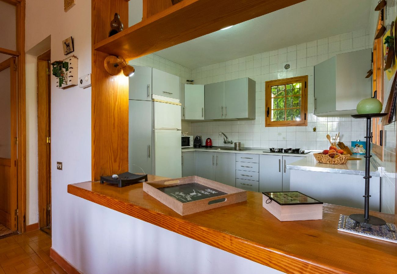 Huis in Vega de San Mateo - GC0152 Vakantiehuis in La Lechuza