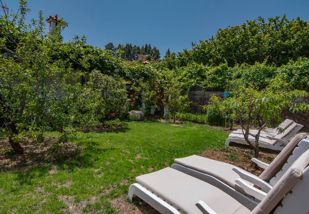 Huis in Vega de San Mateo - GC0152 Vakantiehuis in La Lechuza