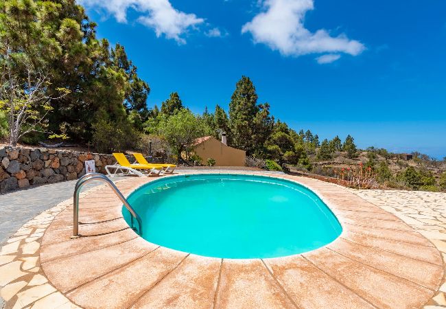 Cottage in Puntagorda - LP1184 Vakantiehuis met gedeeld zwembad in Puntagorda