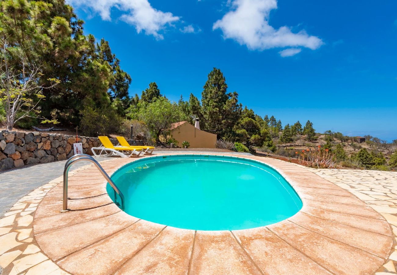 Cottage in Puntagorda - LP1184 Vakantiehuis met gedeeld zwembad in Puntagorda