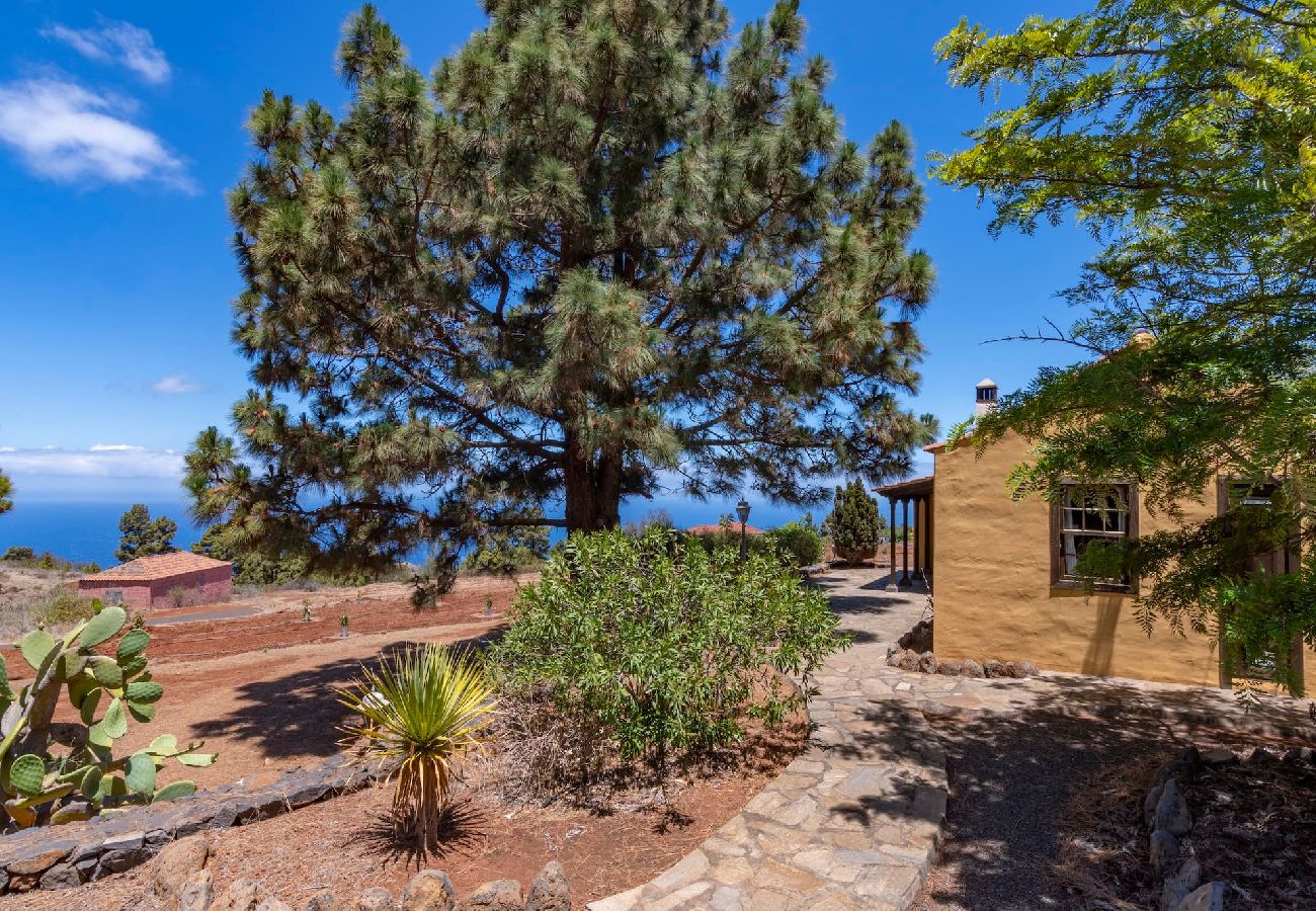 Cottage in Puntagorda - LP1184 Vakantiehuis met gedeeld zwembad in Puntagorda