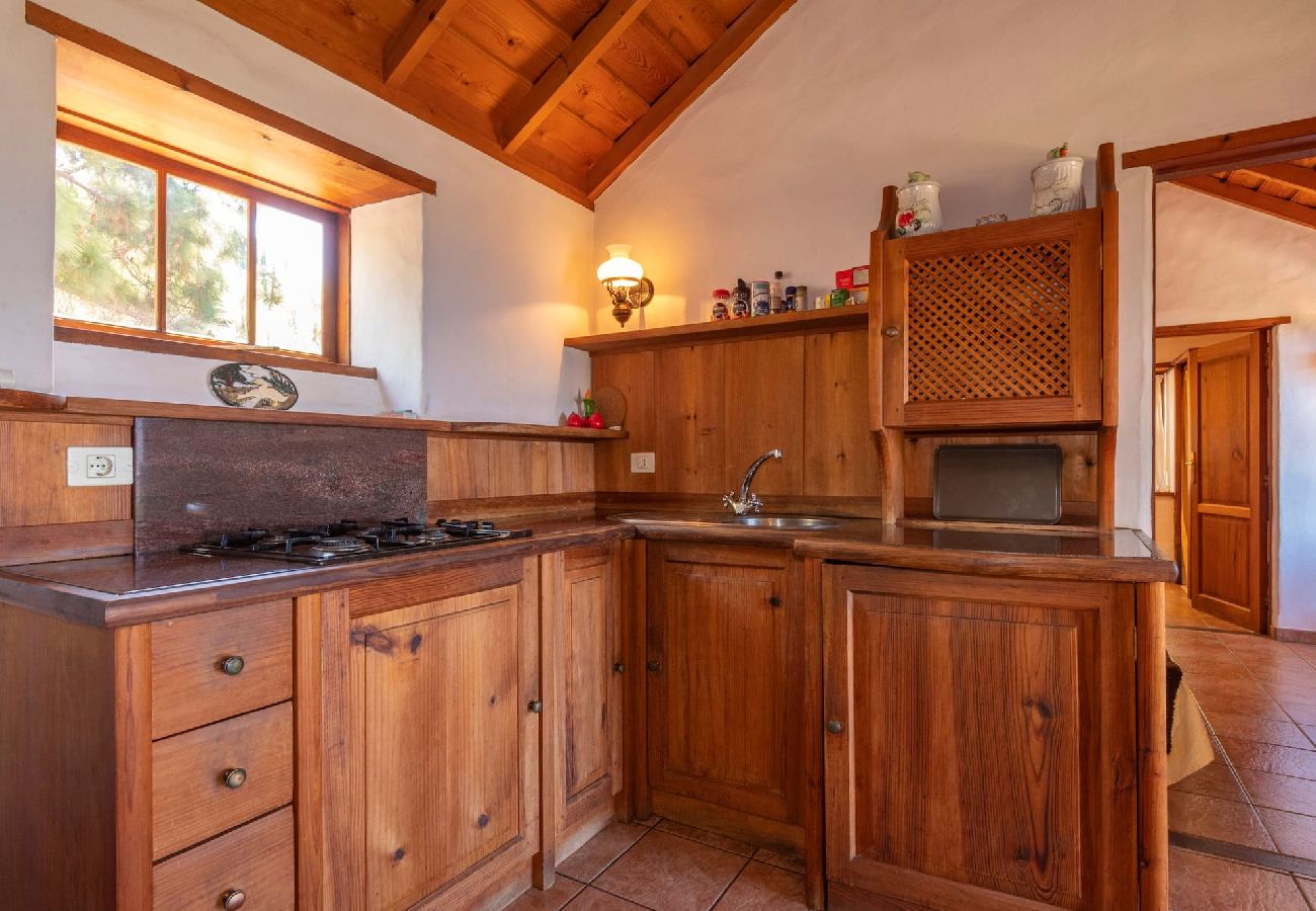 Cottage in Puntagorda - LP1184 Vakantiehuis met gedeeld zwembad in Puntagorda