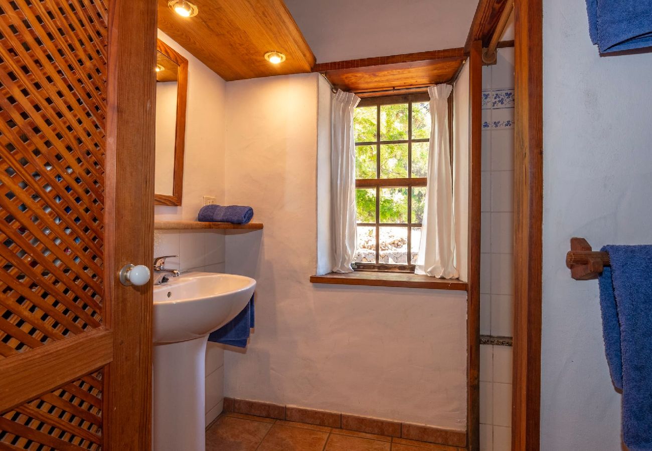 Cottage in Puntagorda - LP1184 Vakantiehuis met gedeeld zwembad in Puntagorda