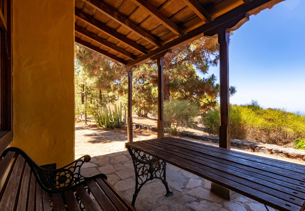 Cottage in Puntagorda - LP1184 Vakantiehuis met gedeeld zwembad in Puntagorda