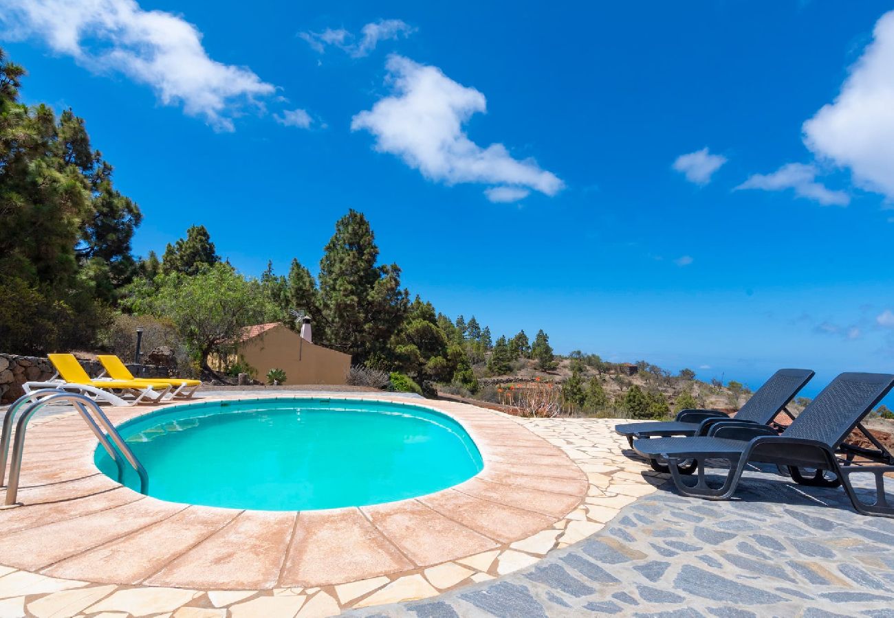 Cottage in Puntagorda - LP1184 Vakantiehuis met gedeeld zwembad in Puntagorda