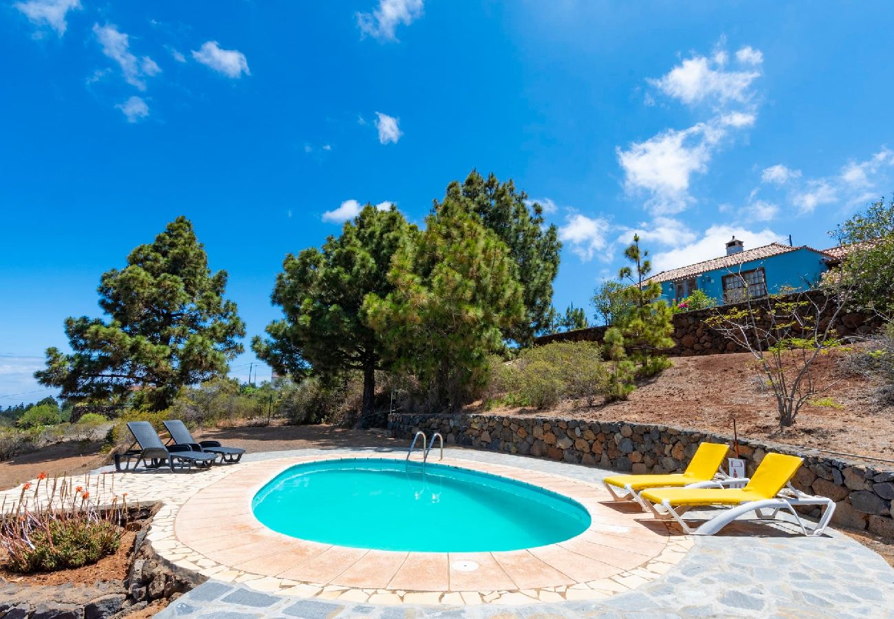 Cottage in Puntagorda - LP1184 Vakantiehuis met gedeeld zwembad in Puntagorda