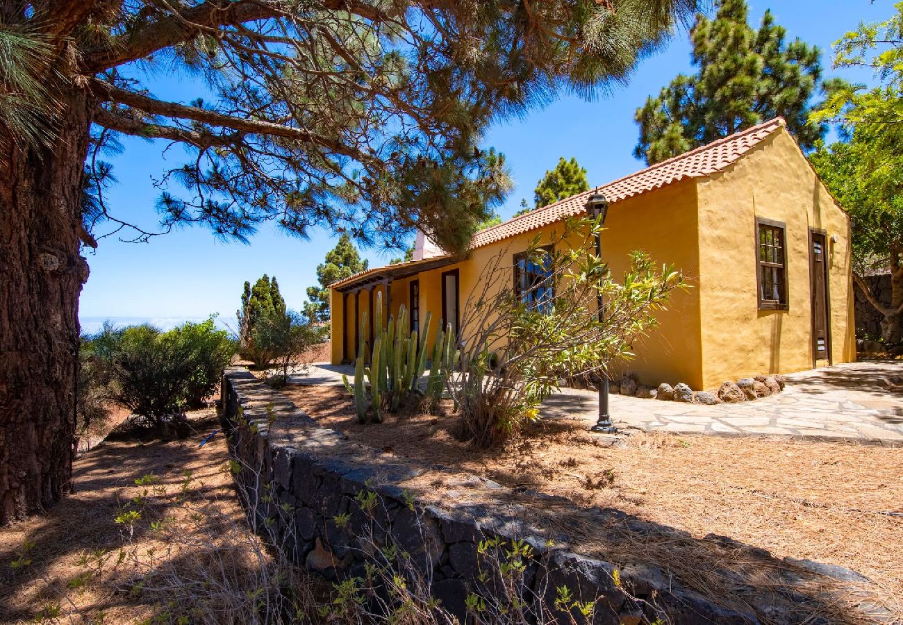 Cottage in Puntagorda - LP1184 Vakantiehuis met gedeeld zwembad in Puntagorda