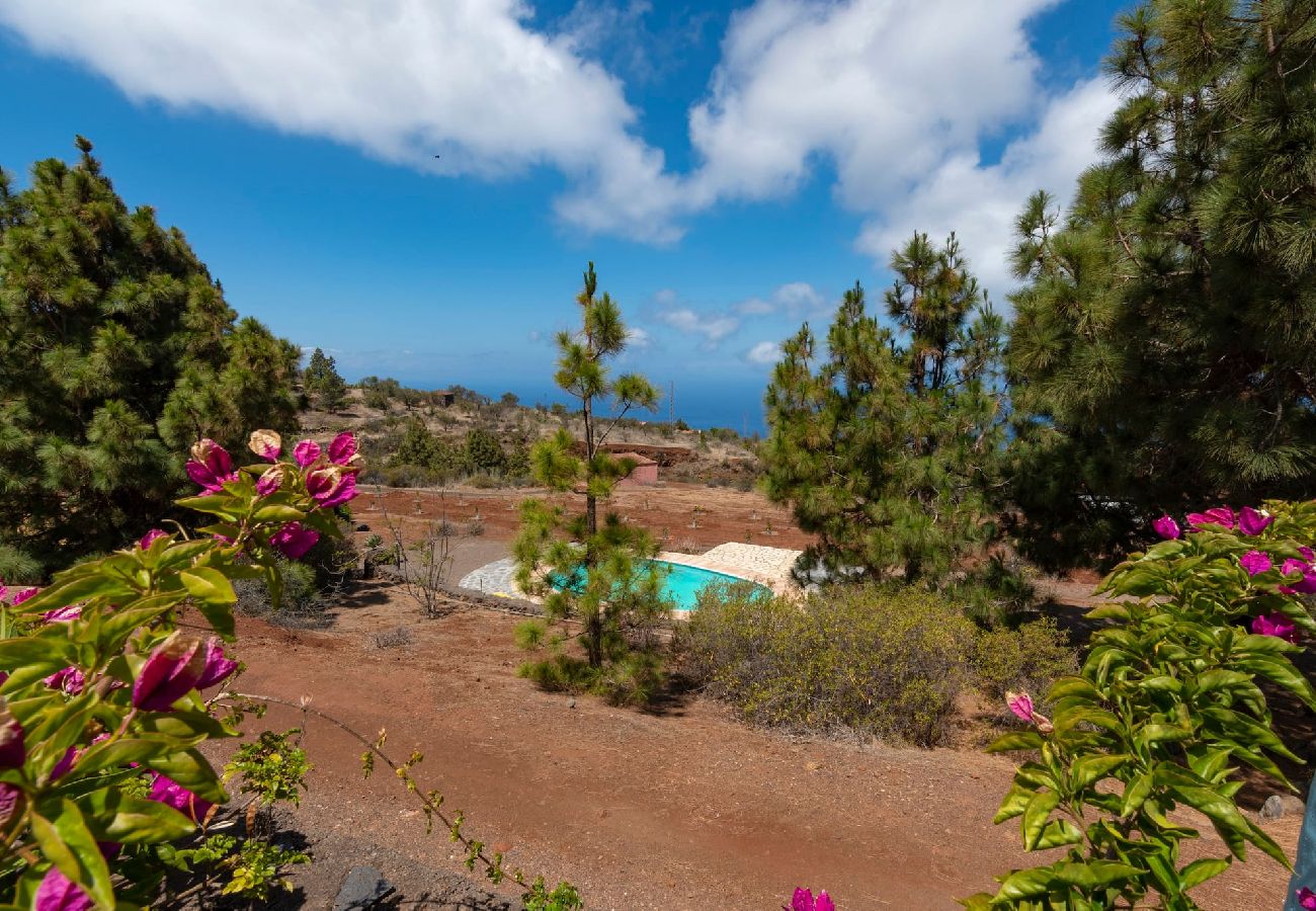 Cottage in Puntagorda - LP1184 Vakantiehuis met gedeeld zwembad in Puntagorda