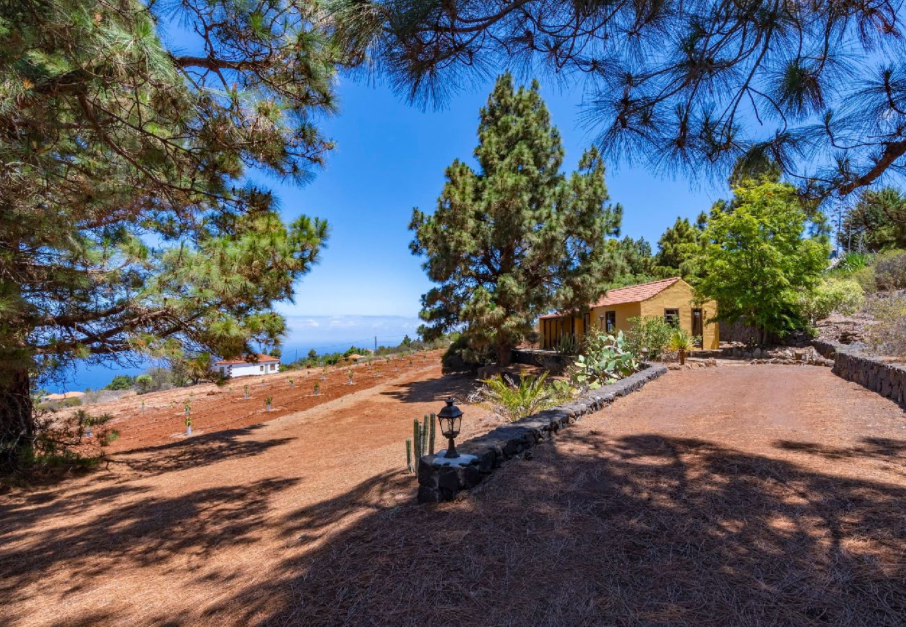 Cottage in Puntagorda - LP1184 Vakantiehuis met gedeeld zwembad in Puntagorda