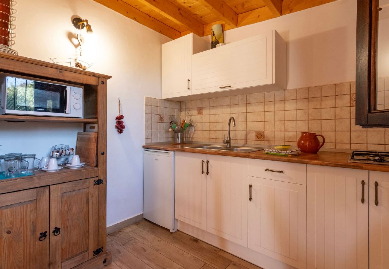 Huis in Agüimes -  GC0251 Vakantiehuis met privé zwembad in Temisas