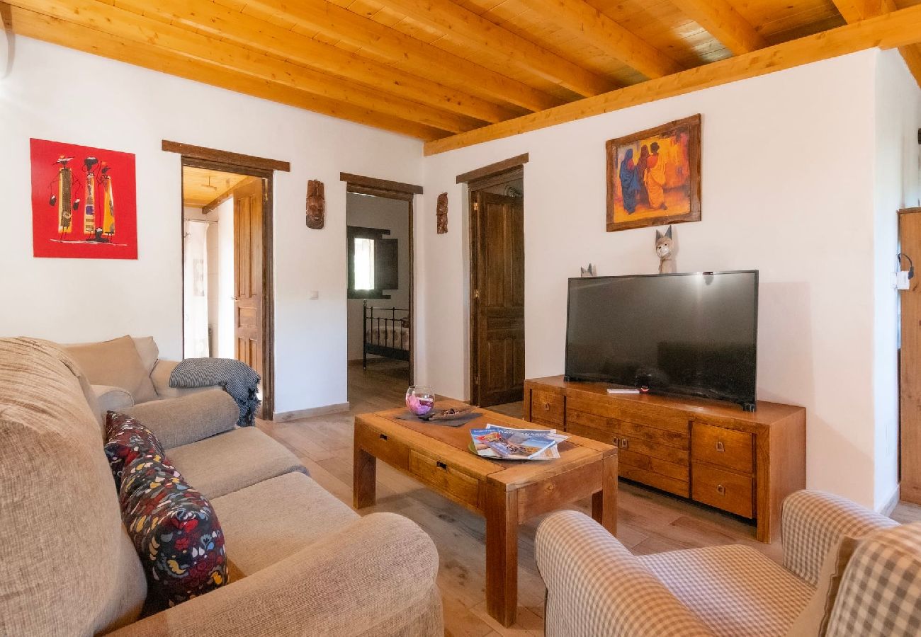 Huis in Agüimes -  GC0251 Vakantiehuis met privé zwembad in Temisas