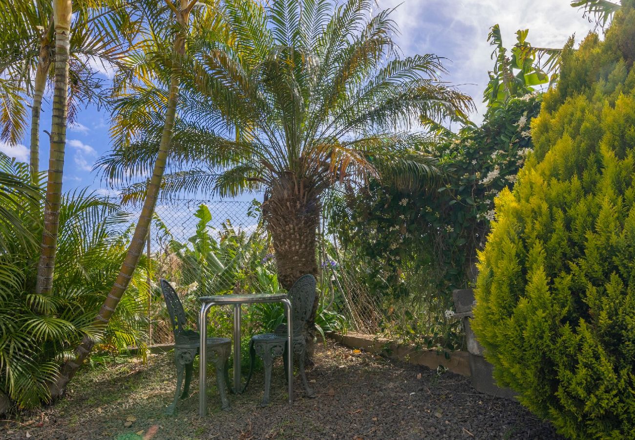 Cottage in Tazacorte - LP1103 Vakantiehuis met privé zwembad in  Tazacorte