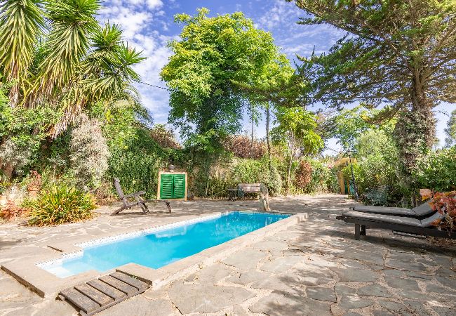 Stuga i Santa Brígida - GC0125 Stuga i El Madroñal Stuga i Santa Brígida - GC0125 Stuga i El Madroñal